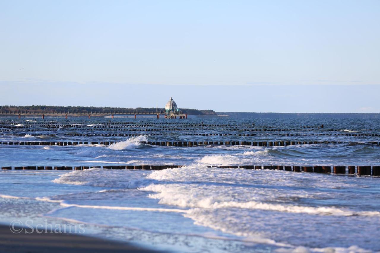 Ostseelagune Zingst, Exklusive Dhh, Strandnah, Sauna, Kamin, 3 Sz, 2 Baeder, Glasfaser, Haustierfrei, Garten Mit Suedterrasse, E-Ladesaeule, 2 Stellplaetze, Strandkorb, Fahrradschuppen, Waschmaschine, Trockner, Nichtraucher Exterior photo