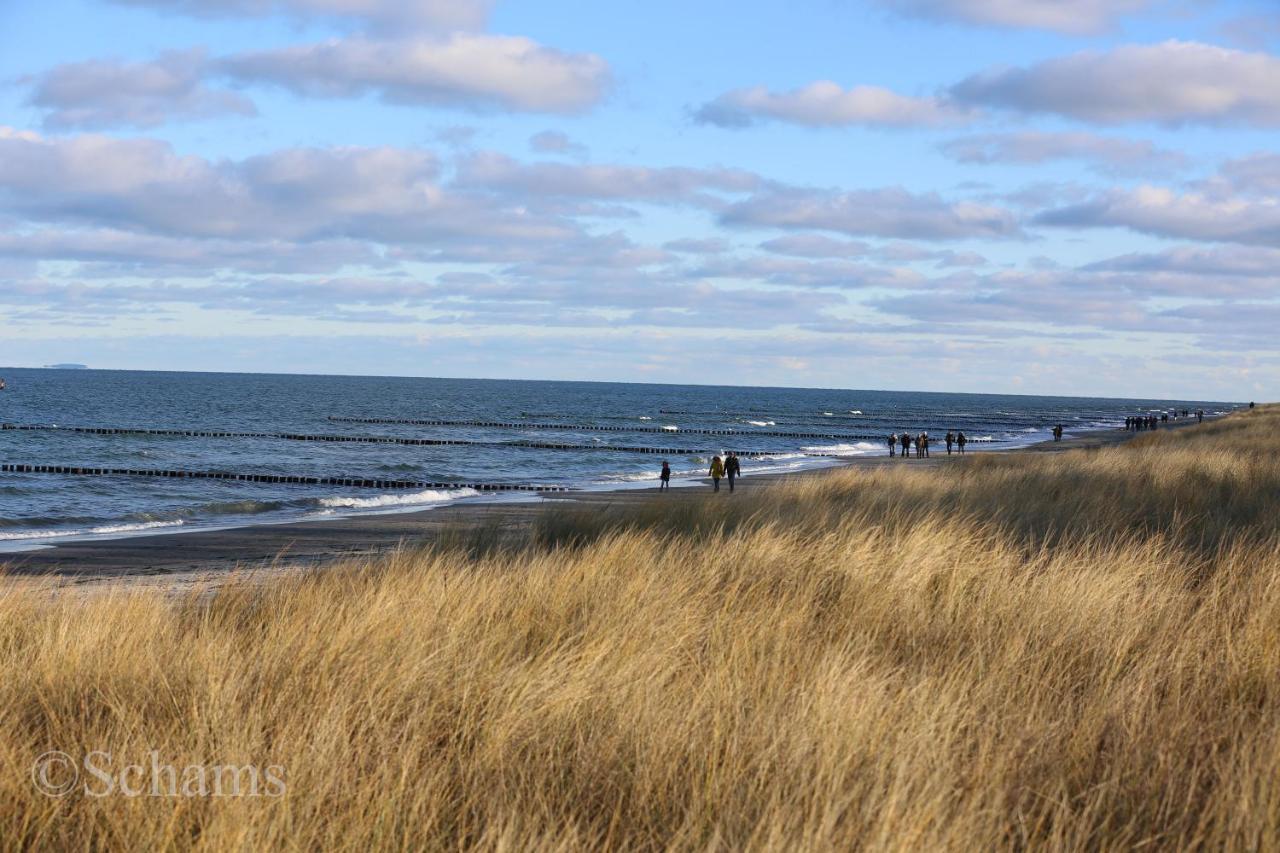 Ostseelagune Zingst, Exklusive Dhh, Strandnah, Sauna, Kamin, 3 Sz, 2 Baeder, Glasfaser, Haustierfrei, Garten Mit Suedterrasse, E-Ladesaeule, 2 Stellplaetze, Strandkorb, Fahrradschuppen, Waschmaschine, Trockner, Nichtraucher Exterior photo