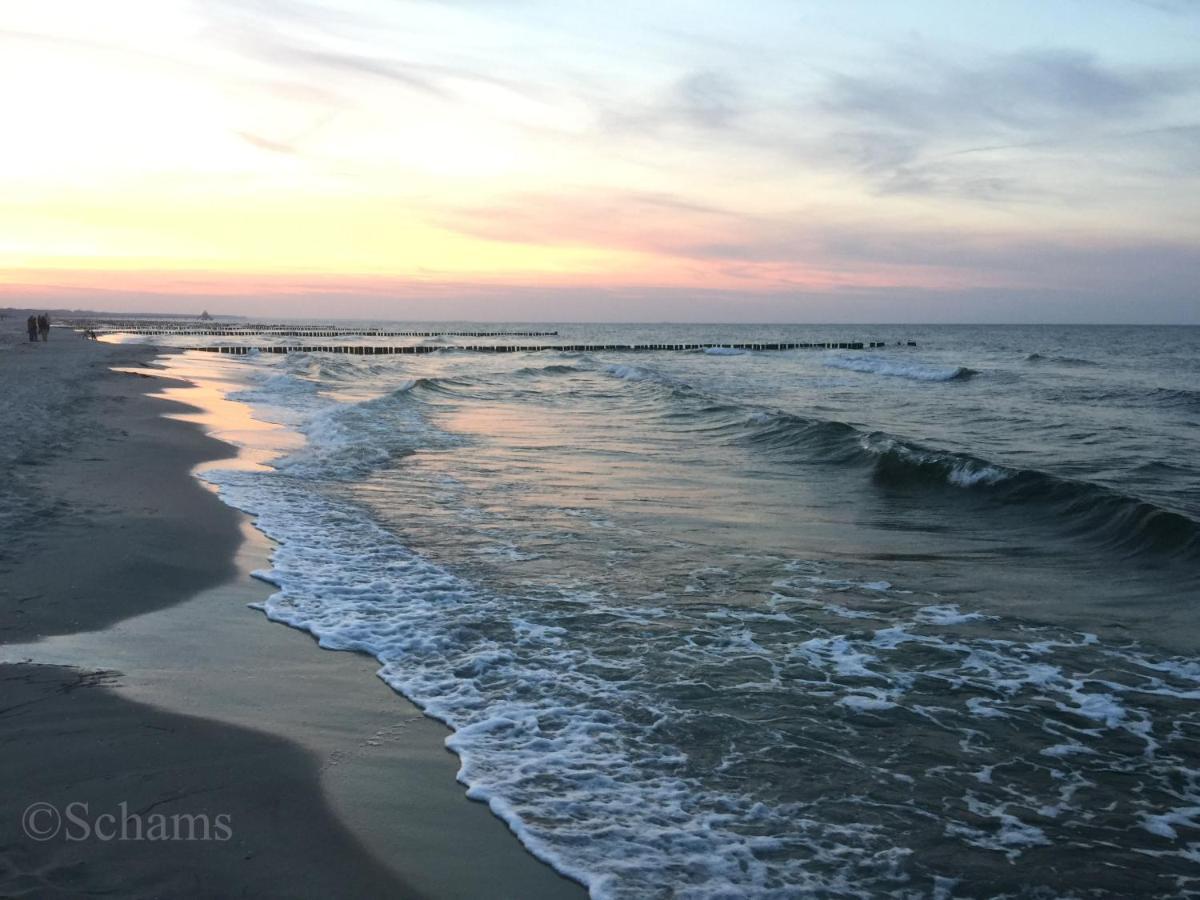 Ostseelagune Zingst, Exklusive Dhh, Strandnah, Sauna, Kamin, 3 Sz, 2 Baeder, Glasfaser, Haustierfrei, Garten Mit Suedterrasse, E-Ladesaeule, 2 Stellplaetze, Strandkorb, Fahrradschuppen, Waschmaschine, Trockner, Nichtraucher Exterior photo